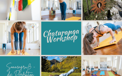 Chaturanga Workshop am 22.11.